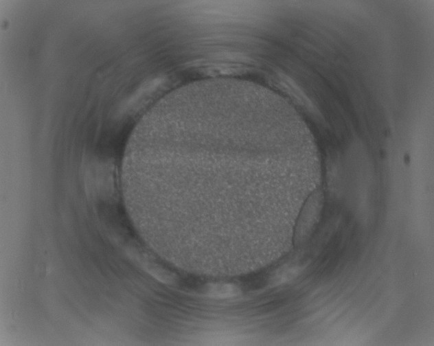 X0000067900169200604271901