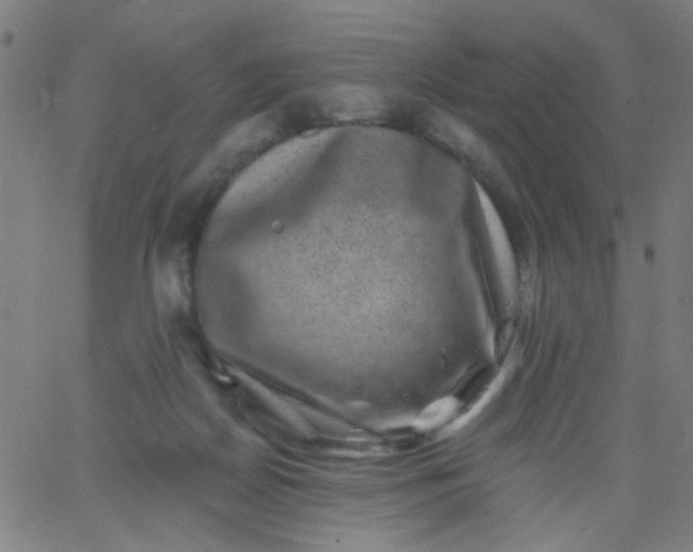 X0000067900170200604271901