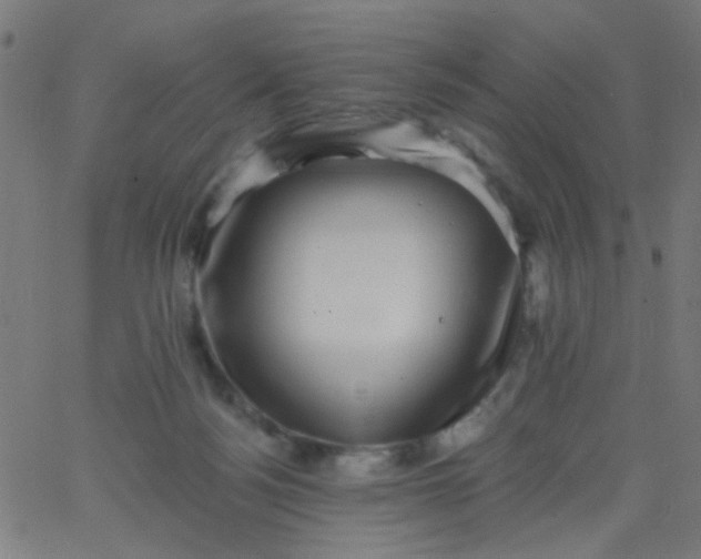 X0000067900172200604271901