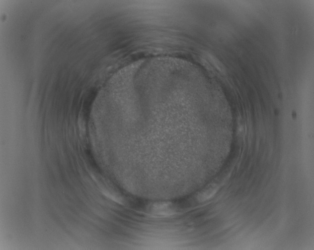 X0000067900173200604271901