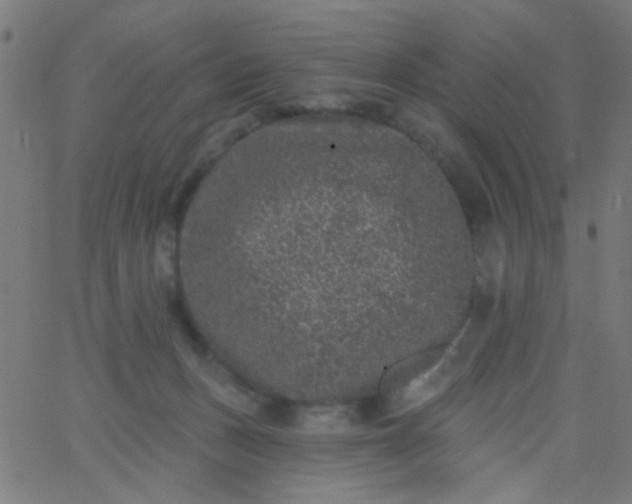 X0000067900175200604271902