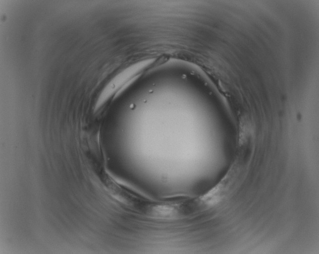 X0000067900176200604271902