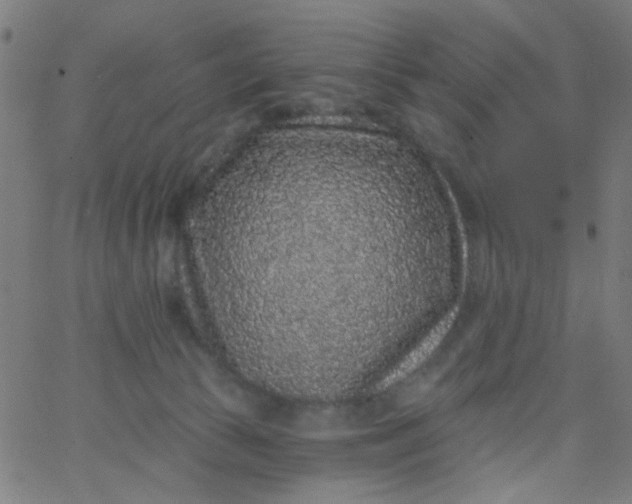 X0000067900177200604271902