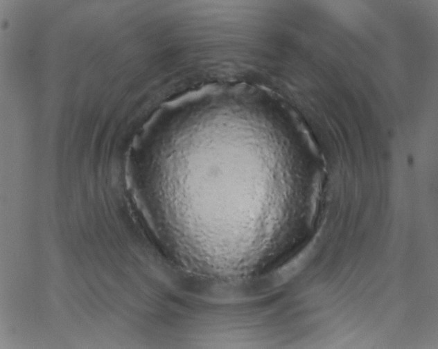 X0000067900178200604271902