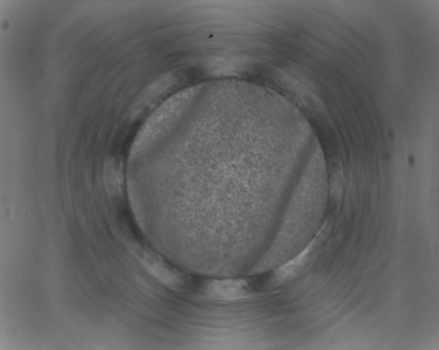 X0000067900179200604271902