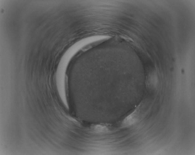 X0000067900180200604271902