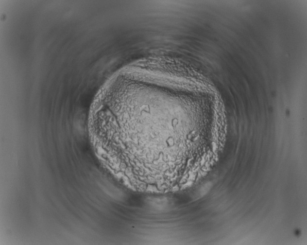 X0000067900181200604271902