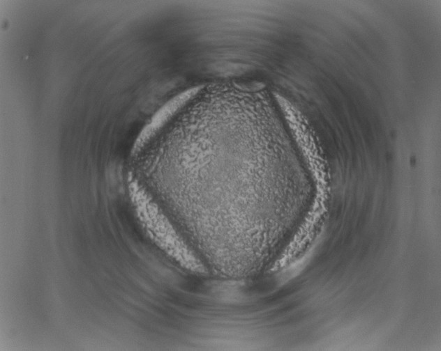 X0000067900182200604271902