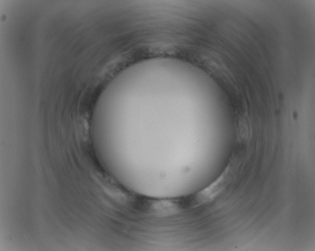 X0000067900183200604271902