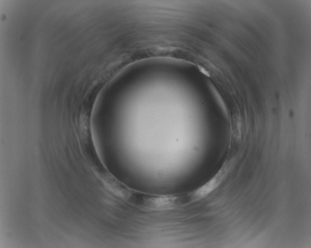 X0000067900184200604271902