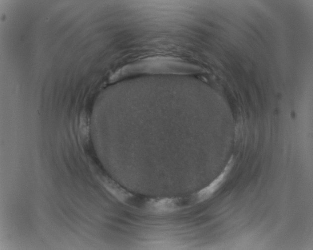 X0000067900186200604271902