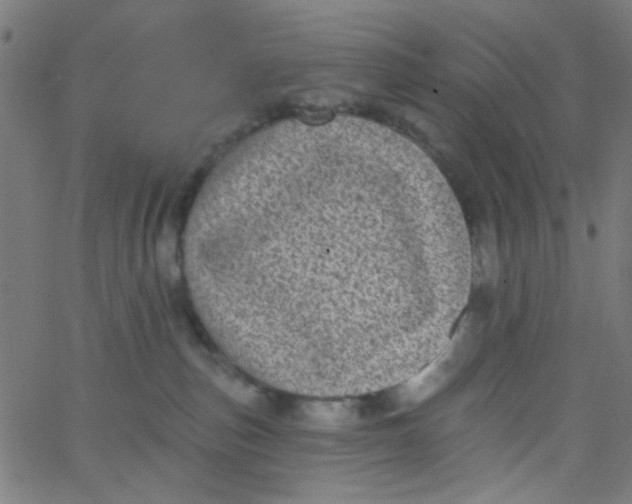 X0000067900187200604271902