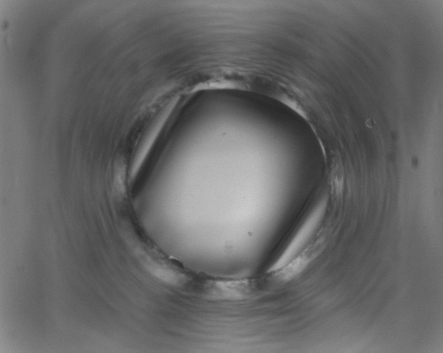 X0000067900188200604271902