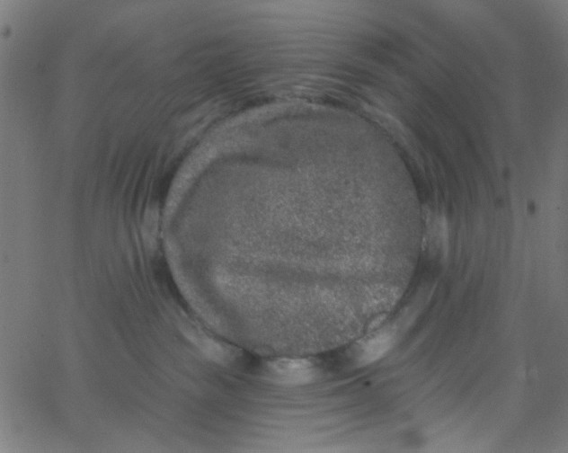 X0000067900189200604271902