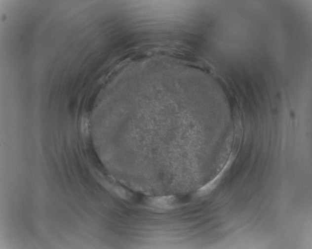 X0000067900191200604271902