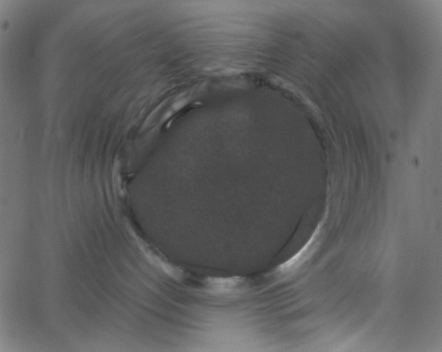 X0000067900192200604271902