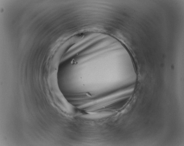 X0000067900193200604271901