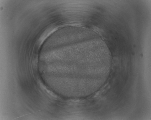 X0000067900194200604271901