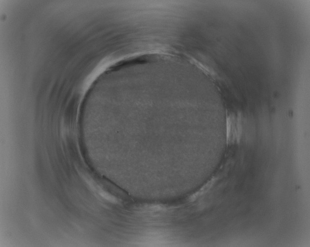 X0000067900195200604271901