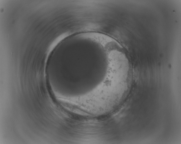 X0000067900196200604271901