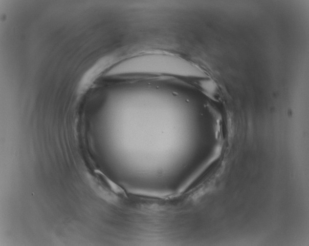 X0000067900197200604271901