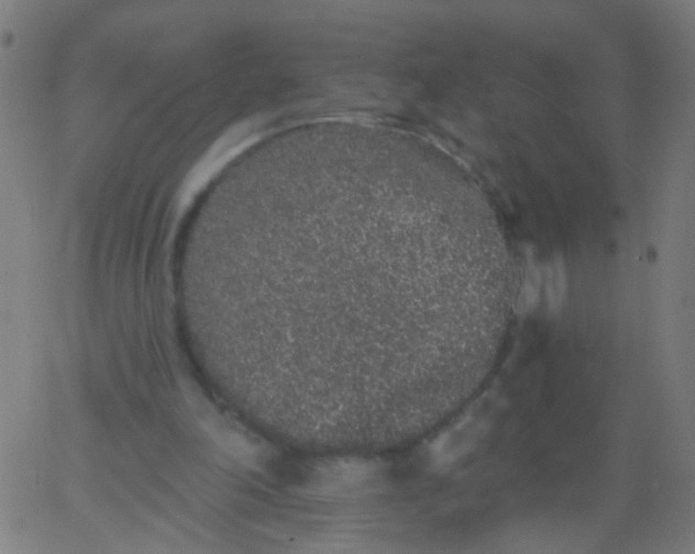 X0000067900198200604271901