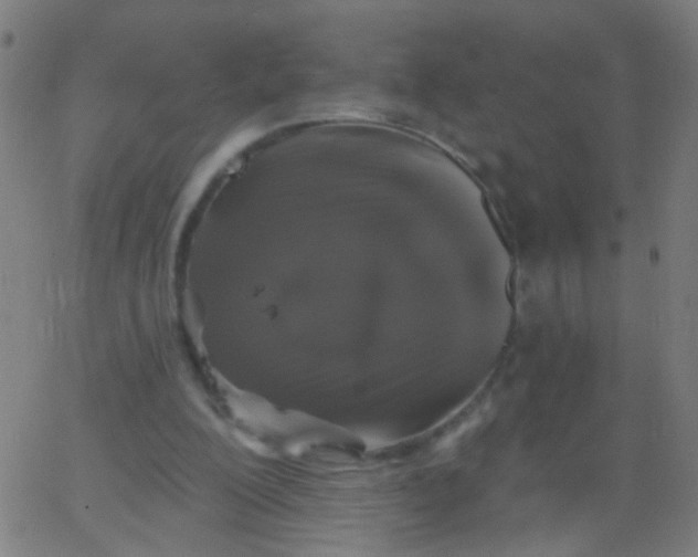 X0000067900200200604271901