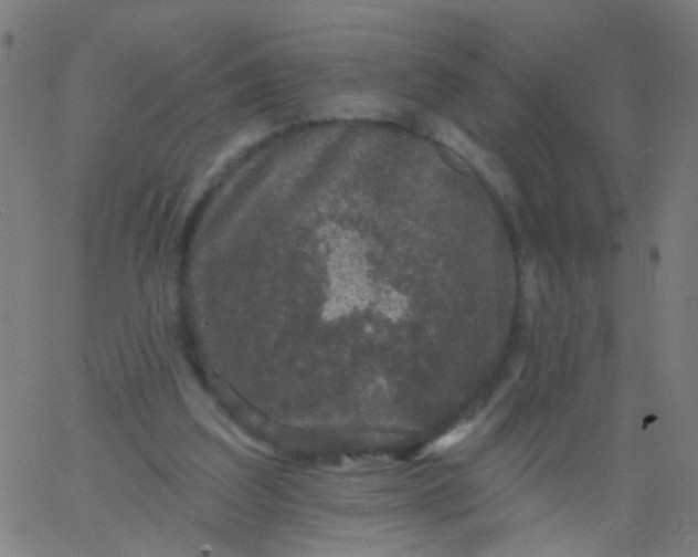 X0000067900203200604271901