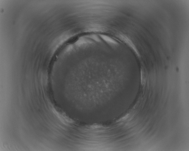 X0000067900204200604271901