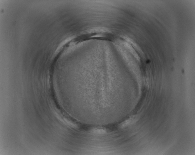 X0000067900207200604271901