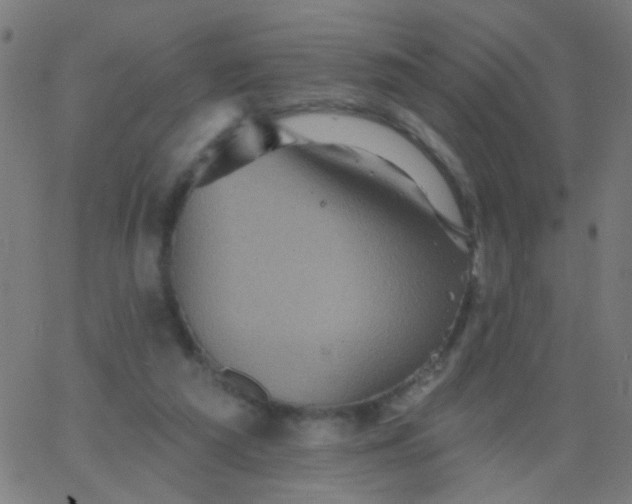 X0000067900209200604271901