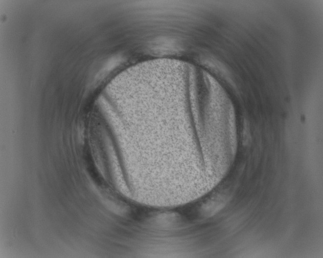 X0000067900210200604271901