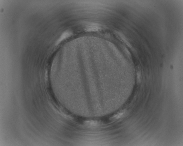 X0000067900211200604271901