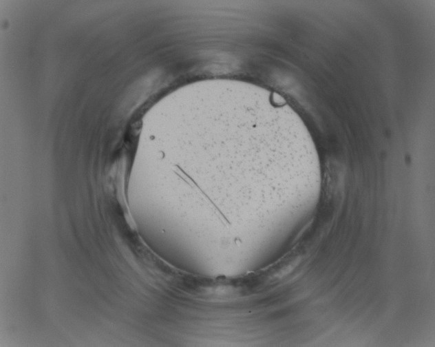 X0000067900212200604271901