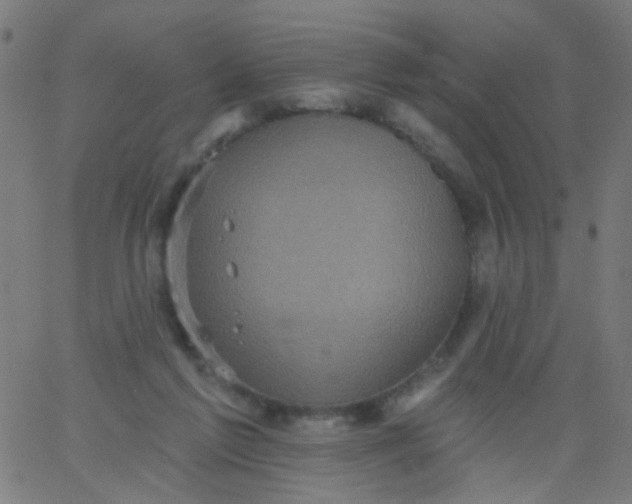 X0000067900213200604271901