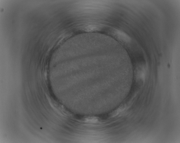 X0000067900214200604271901