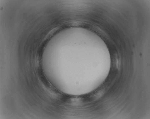 X0000067900216200604271901