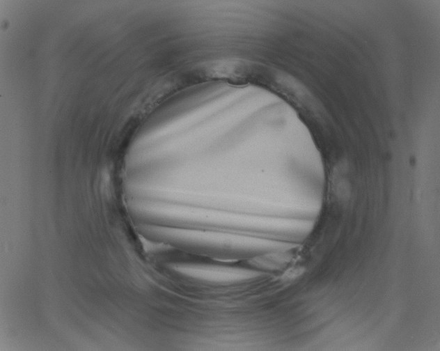 X0000067900217200604271901