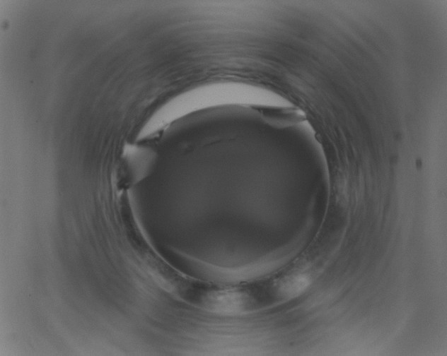 X0000067900219200604271901