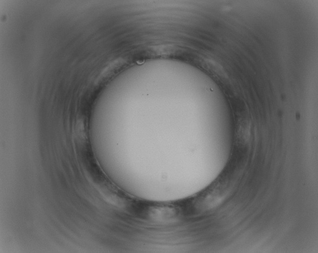 X0000067900220200604271901