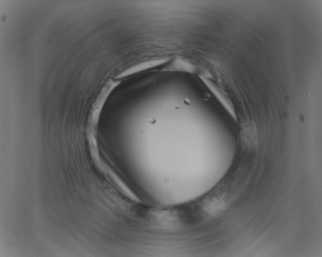 X0000067900221200604271901