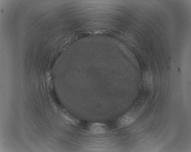 X0000067900222200604271901