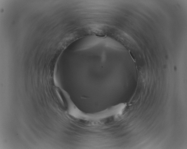 X0000067900223200604271900