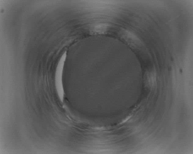 X0000067900224200604271900