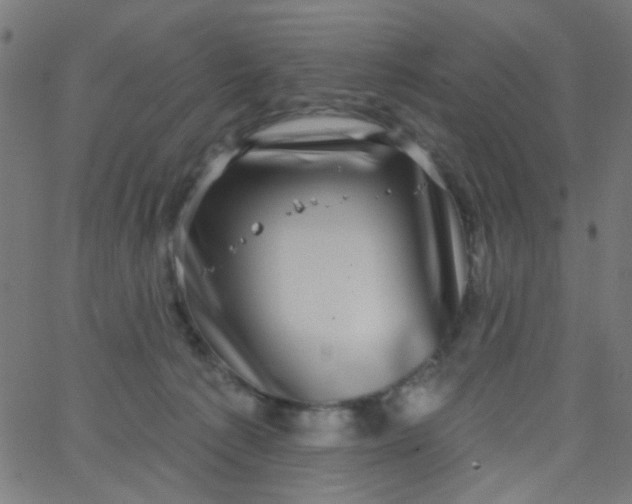 X0000067900225200604271900