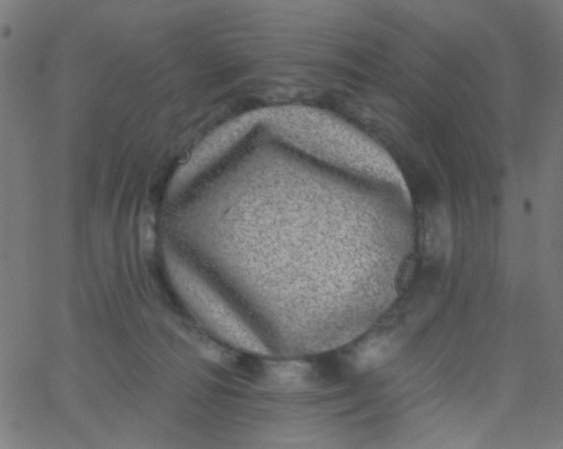 X0000067900226200604271900