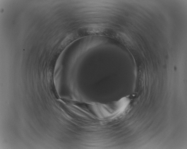 X0000067900227200604271900