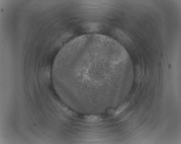 X0000067900230200604271900