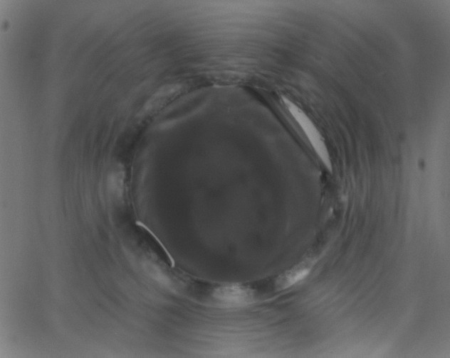 X0000067900231200604271900