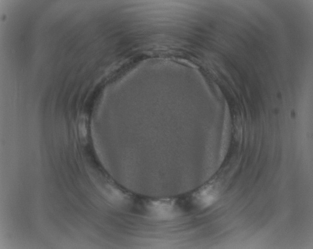 X0000067900232200604271900